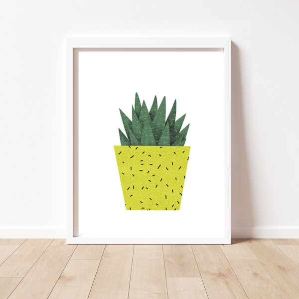 Aloe - immagine 4