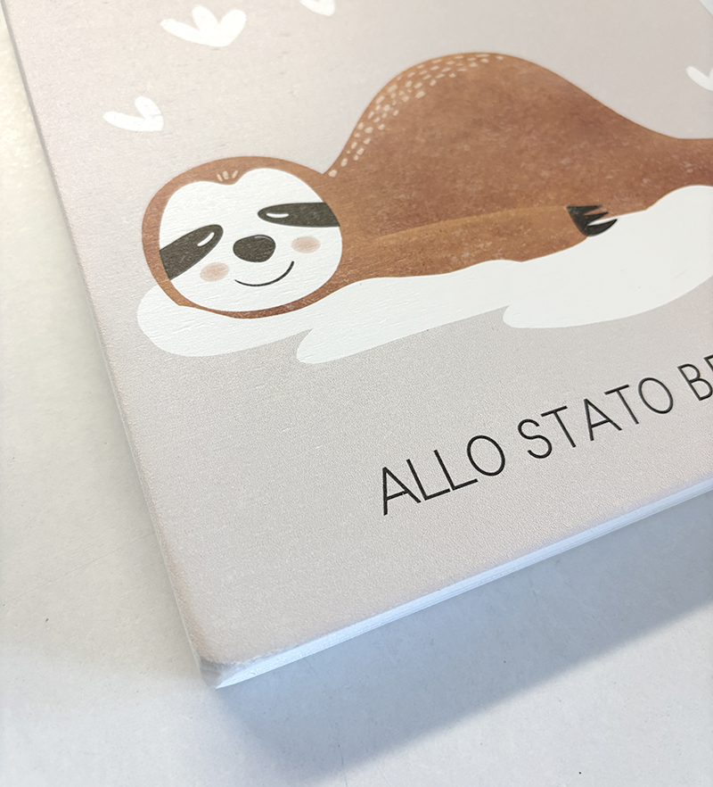 Allo Stato Bradipo - immagine 4